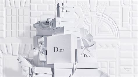 christian Dior singapore official website